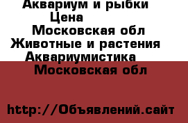 Аквариум и рыбки › Цена ­ 3 000 - Московская обл. Животные и растения » Аквариумистика   . Московская обл.